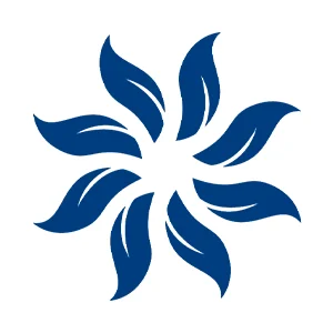 Grupo Vidanta Grupo Vidanta
